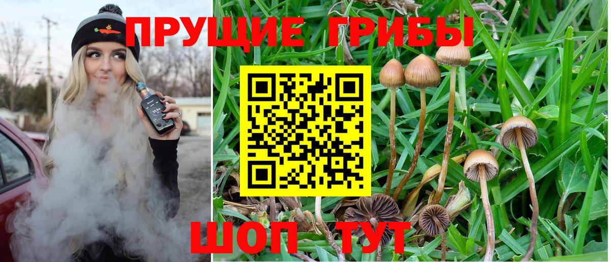 Псилоцибиновые грибы ЛСД  Галлюциногенные грибы прущие грибы  Рузаевка  Вход с VPN 